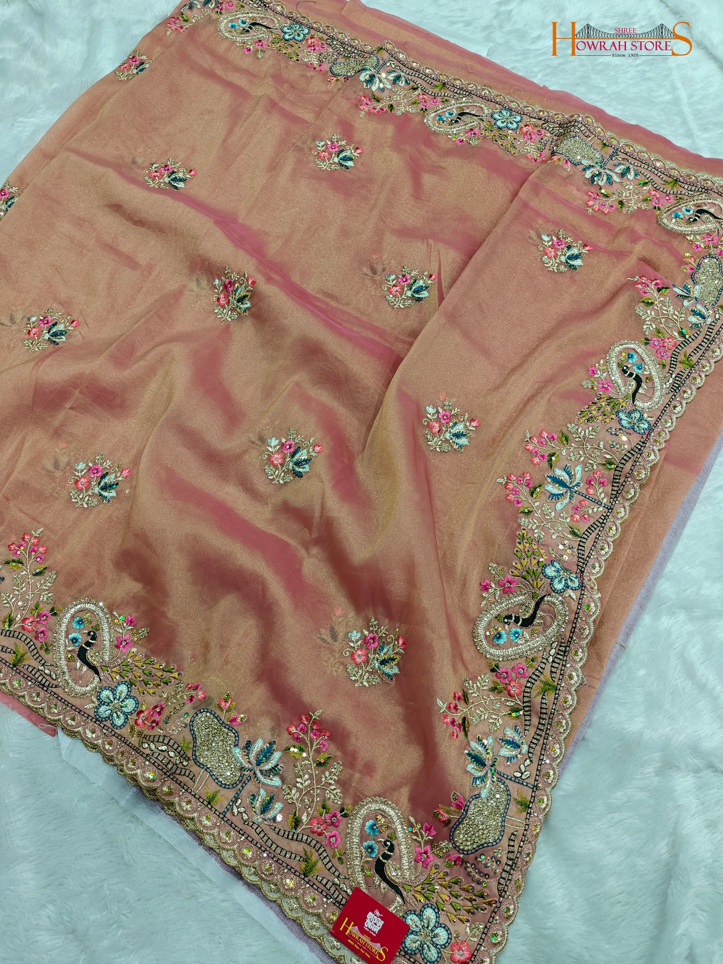 Tissue Organza Saree with Hand Embroidery