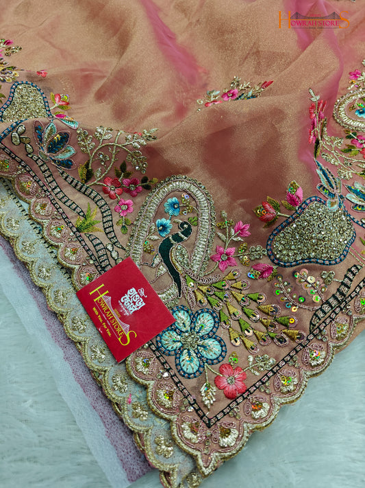 Tissue Organza Saree with Hand Embroidery