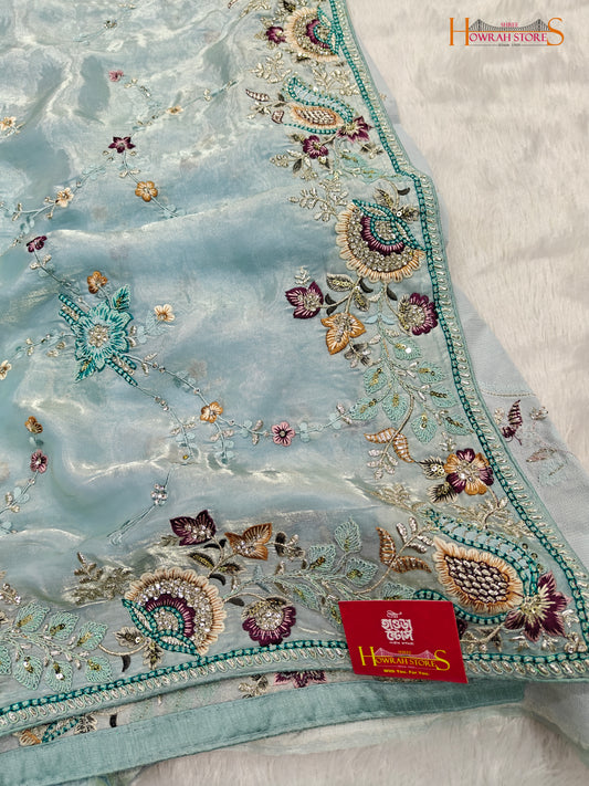 Tissue Organza Saree with Hand Embroidery