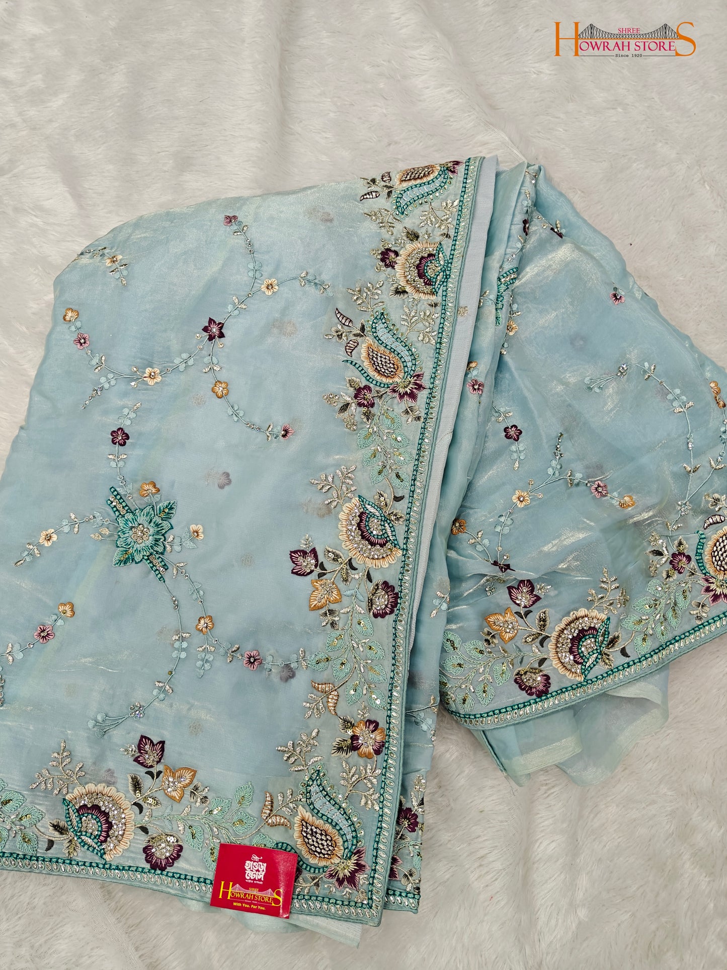 Tissue Organza Saree with Hand Embroidery