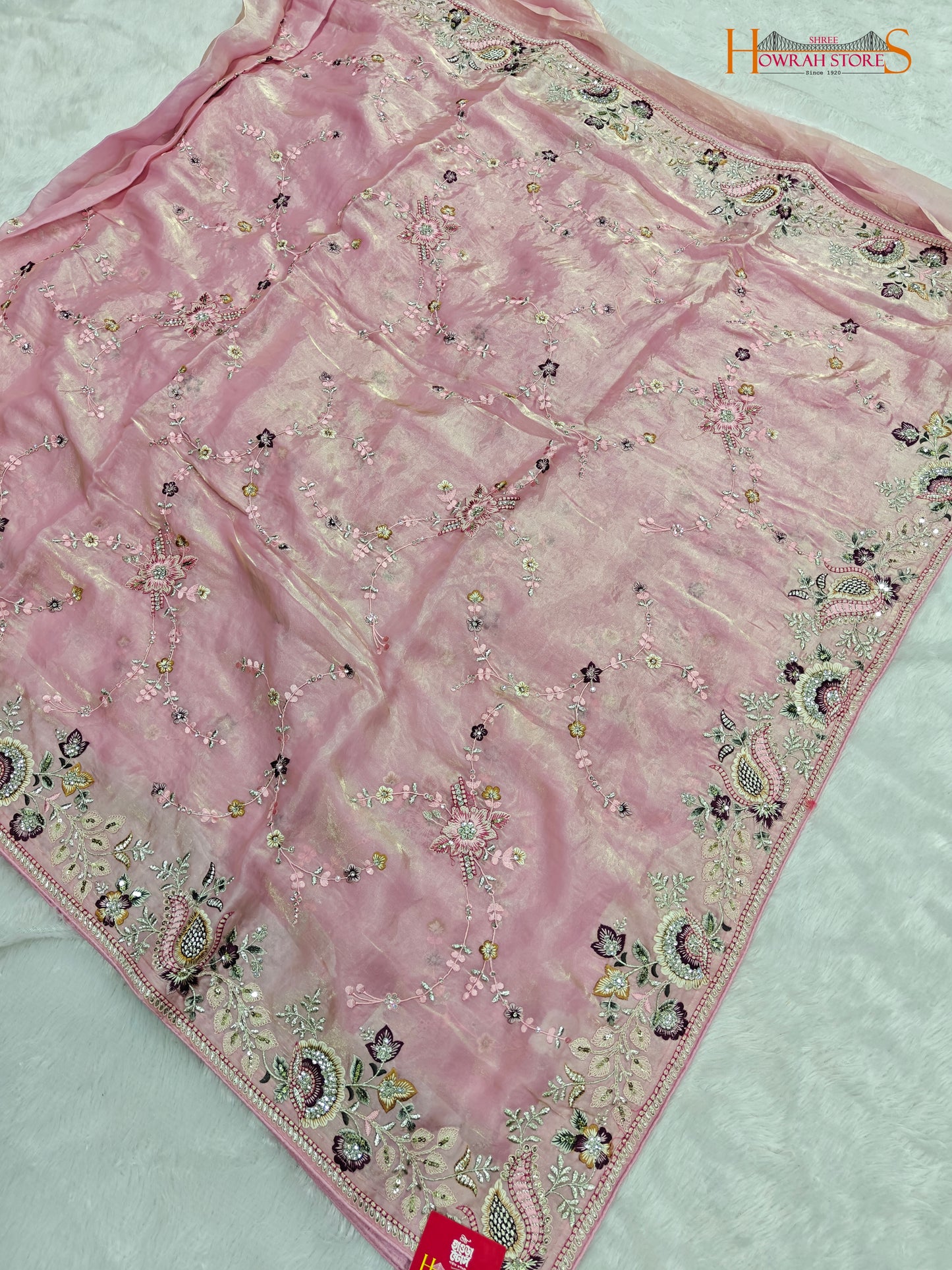 Tissue Organza Saree with Hand Embroidery