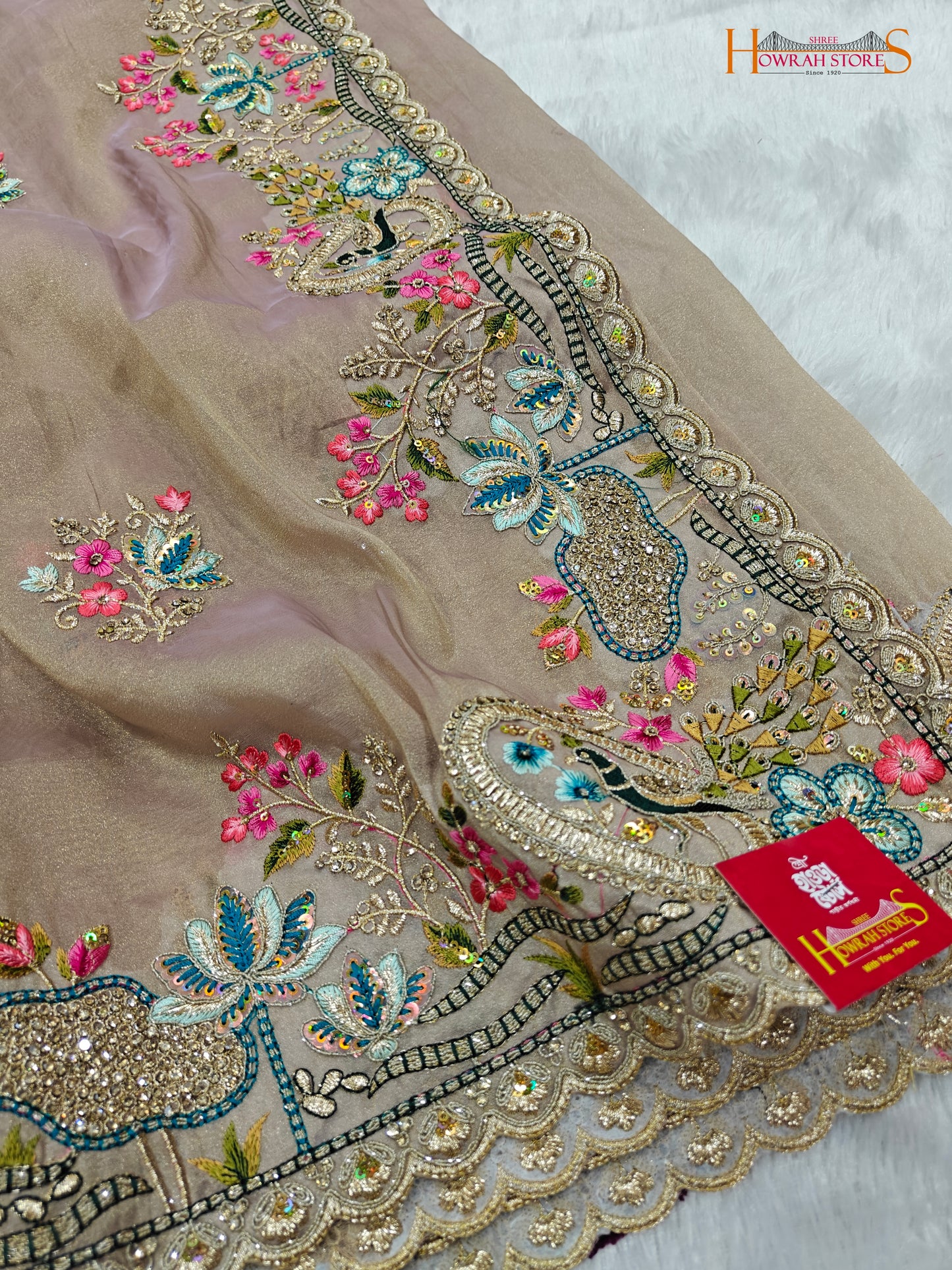 Tissue Organza Saree with Hand Embroidery