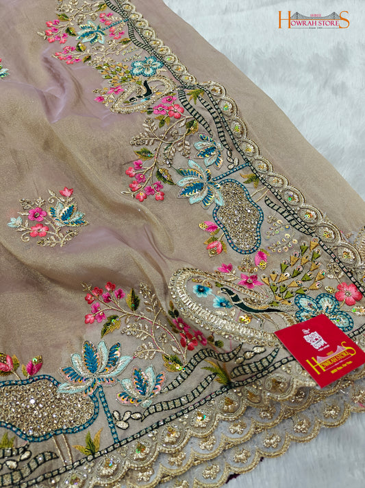 Tissue Organza Saree with Hand Embroidery