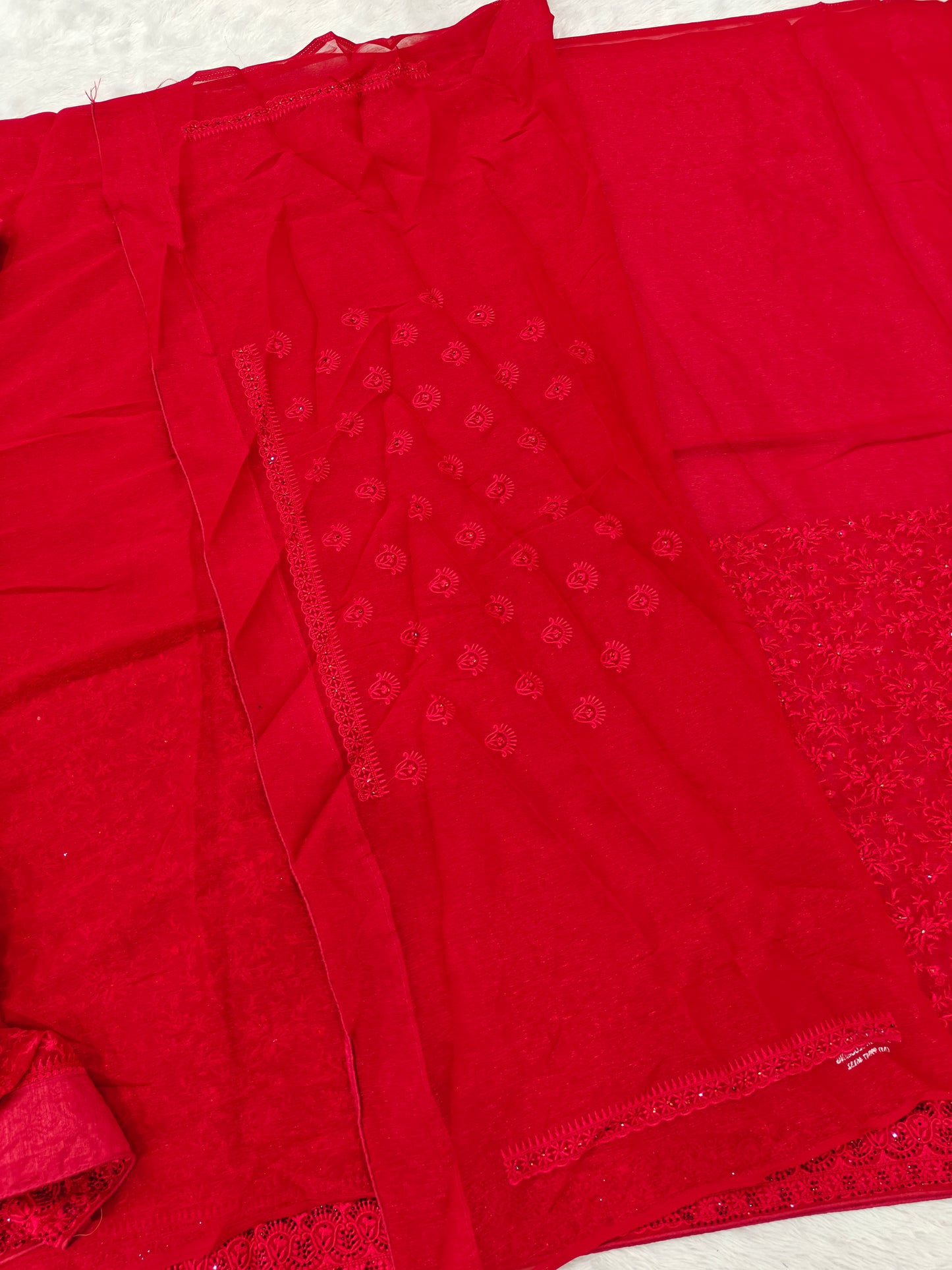Elegance in Every Thread – Kashmiri Work on Shimmer Organza