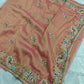 Tissue Organza Saree with Hand Embroidery