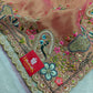 Tissue Organza Saree with Hand Embroidery