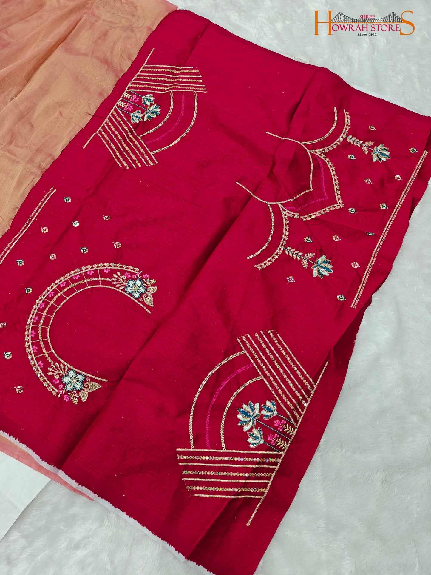 Tissue Organza Saree with Hand Embroidery