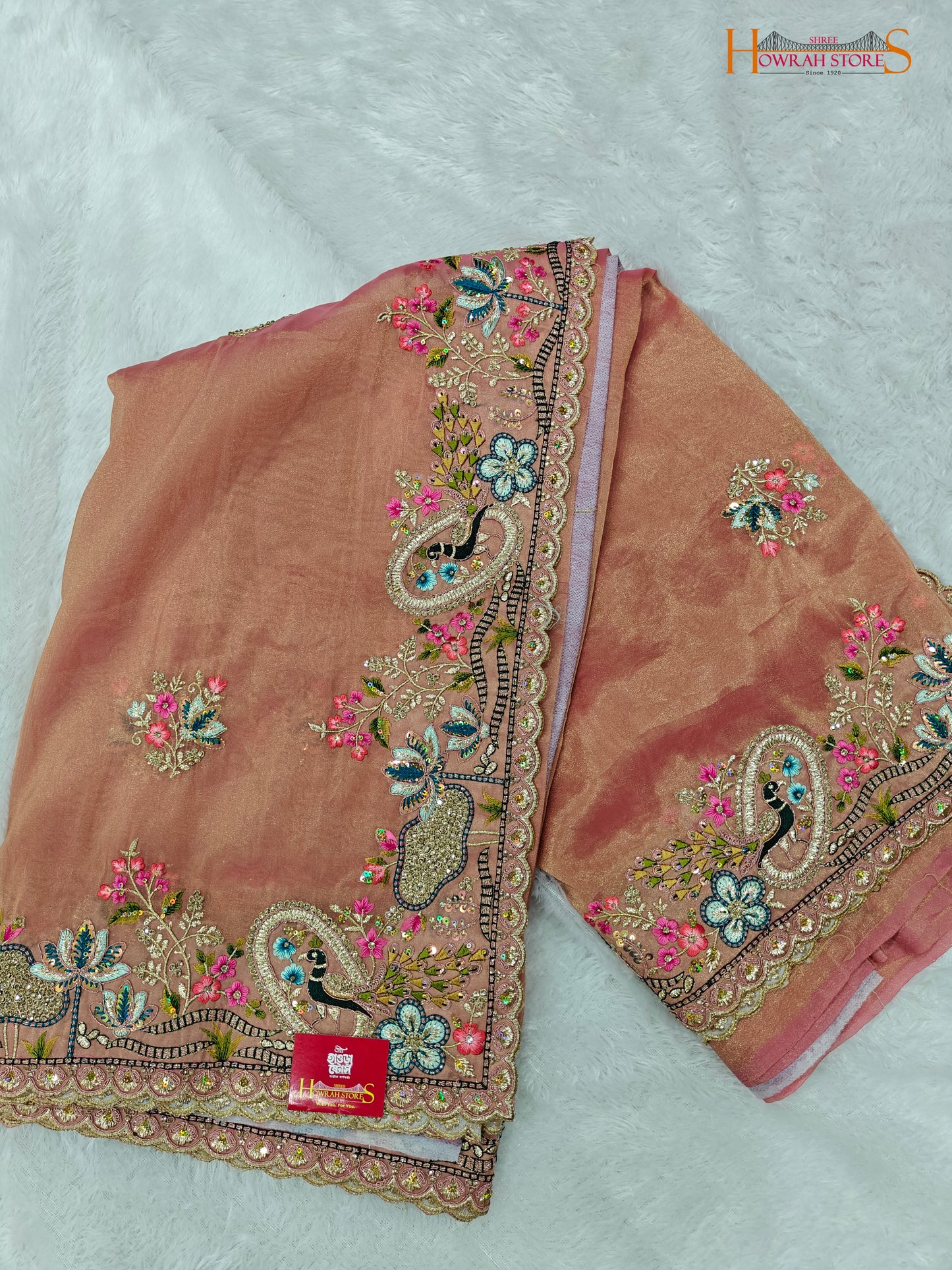 Tissue Organza Saree with Hand Embroidery