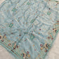 Tissue Organza Saree with Hand Embroidery