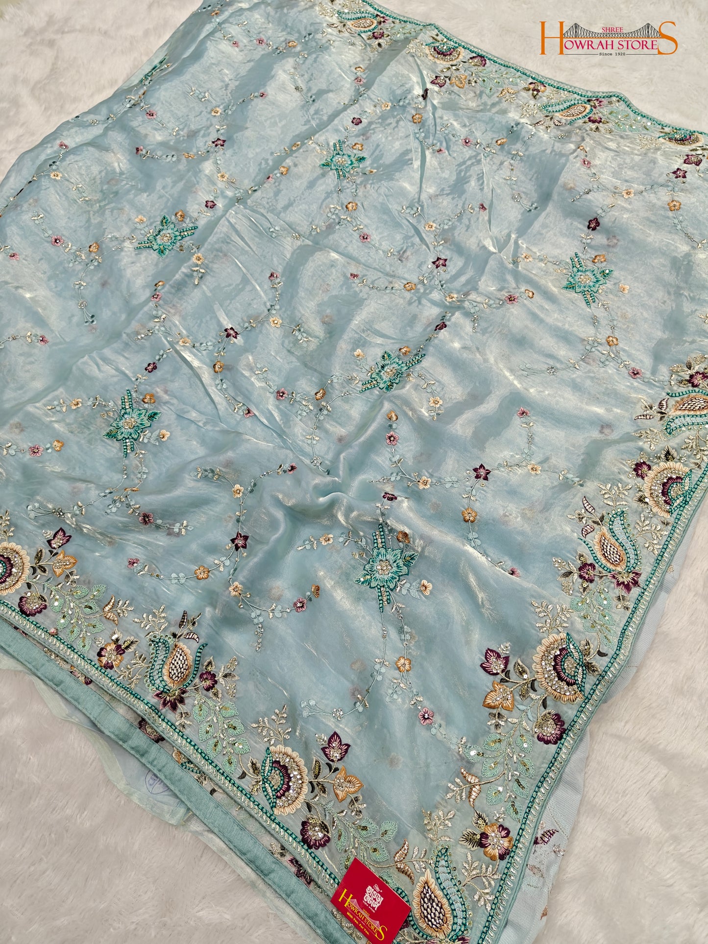 Tissue Organza Saree with Hand Embroidery