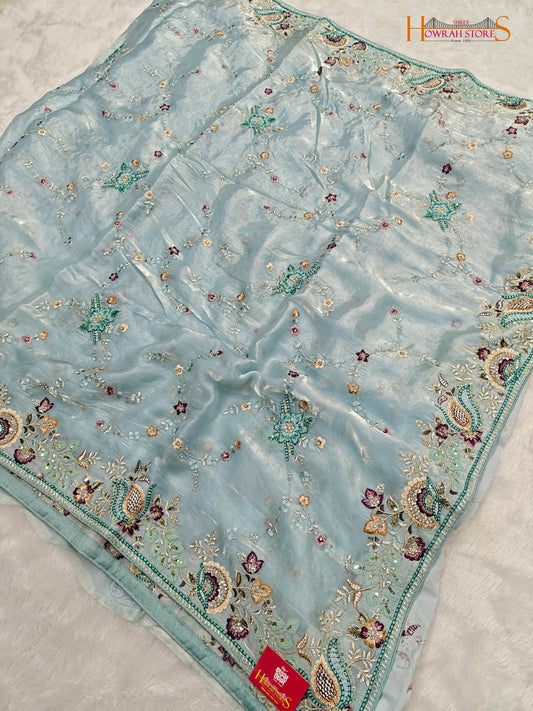 Tissue Organza Saree with Hand Embroidery