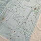 Tissue Organza Saree with Hand Embroidery