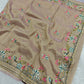 Tissue Organza Saree with Hand Embroidery