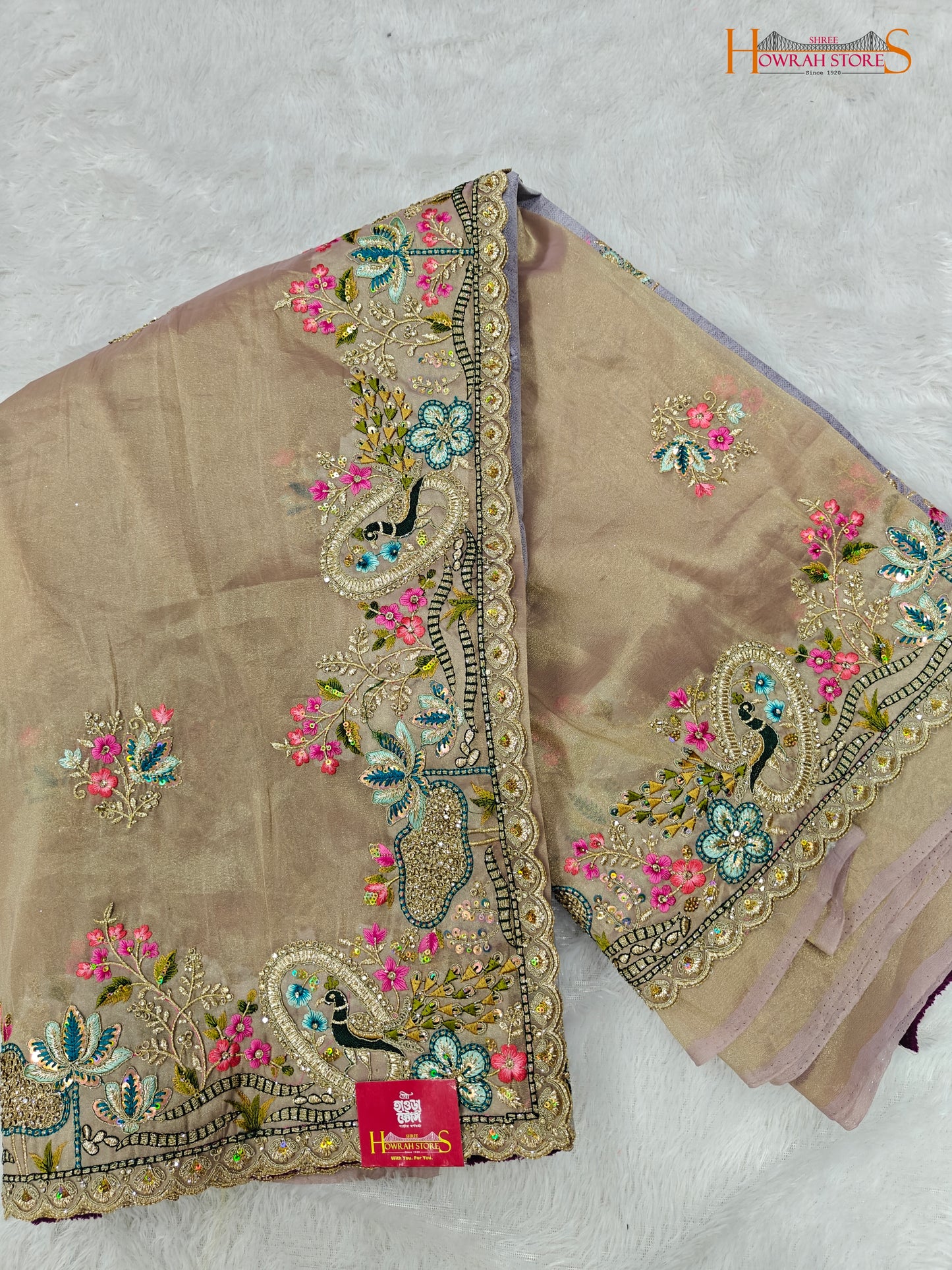 Tissue Organza Saree with Hand Embroidery