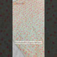 Parsi Embroidery on Organza Silk Saree
