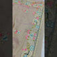 Tissue Organza Saree with Hand Embroidery