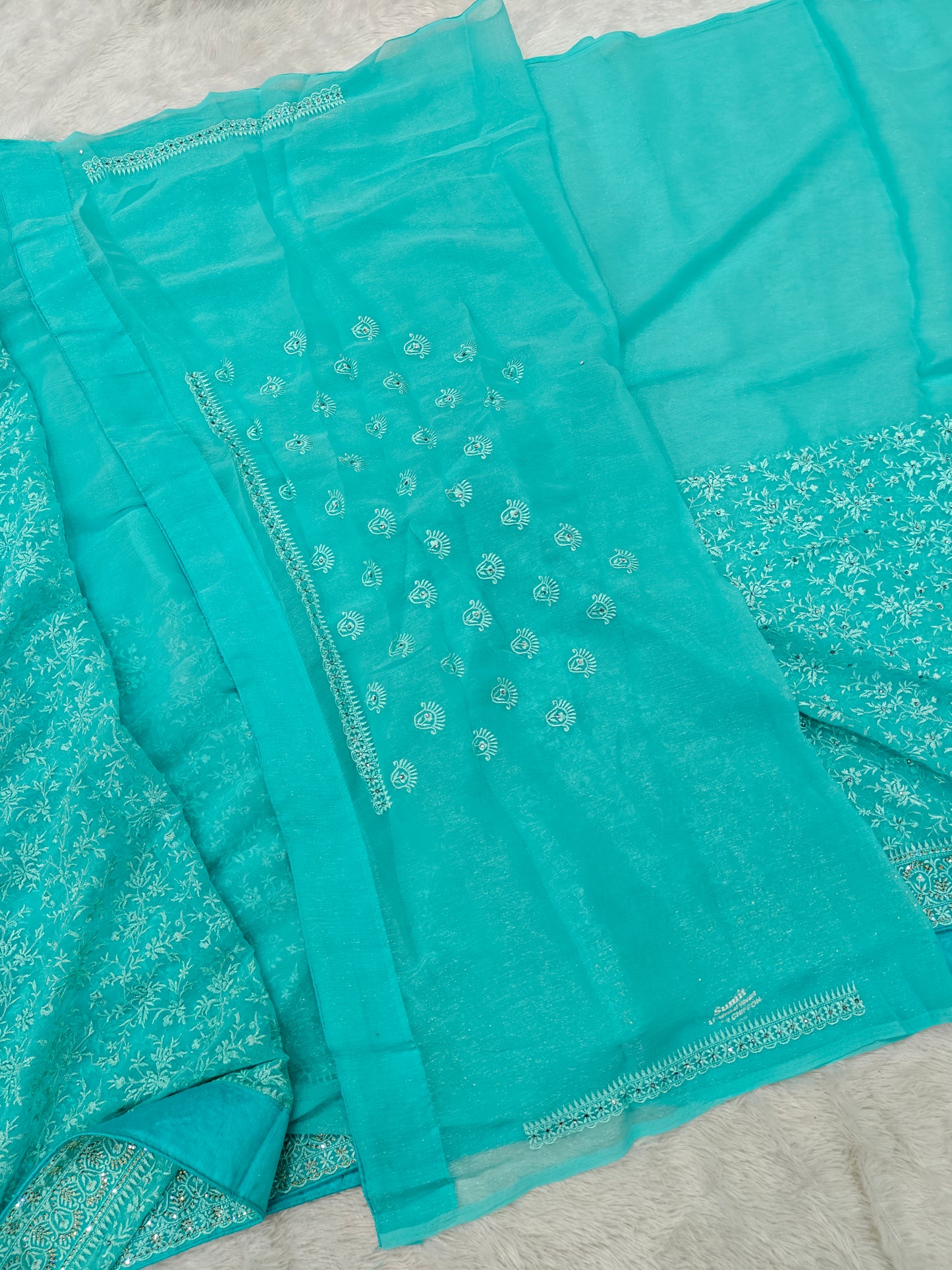 Kashmiri Work on Shimmer Organza – Regal &amp; Radiant