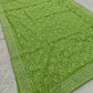 Shimmer Organza Saree with Kashmiri Embroidery