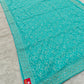 Kashmiri Work on Shimmer Organza – Regal &amp; Radiant
