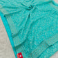 Kashmiri Work on Shimmer Organza – Regal &amp; Radiant
